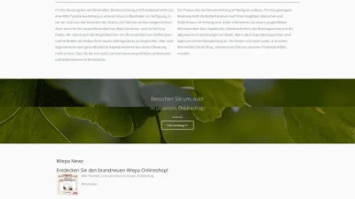 Webdesign Referenz von Artmedia Jäger Wiesbaden - Wiepa BüroFachPartner GmbH